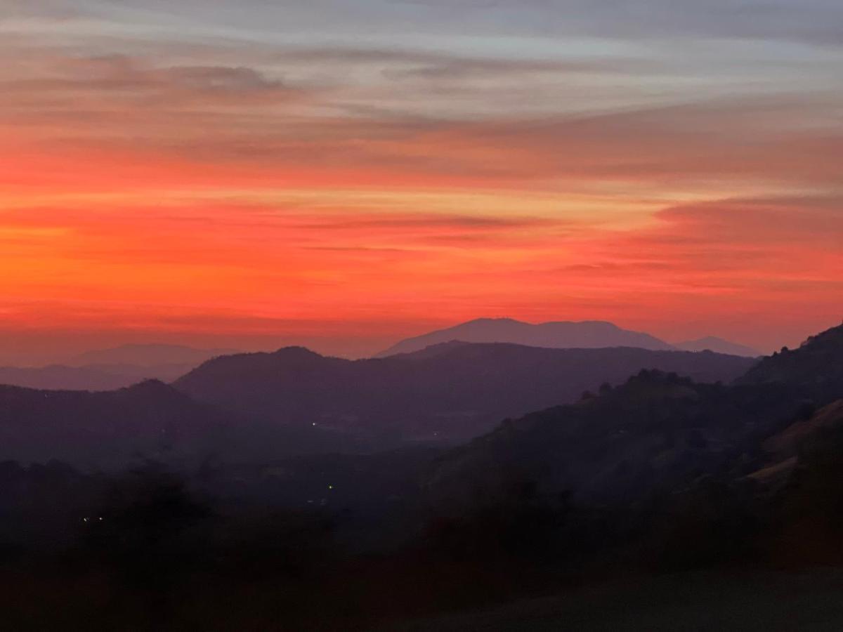 The Sequoia Guesthouse Miramonte Esterno foto